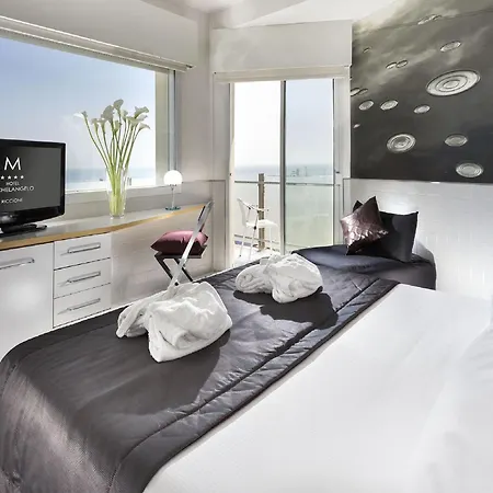 Hotel Michelangelo 4*