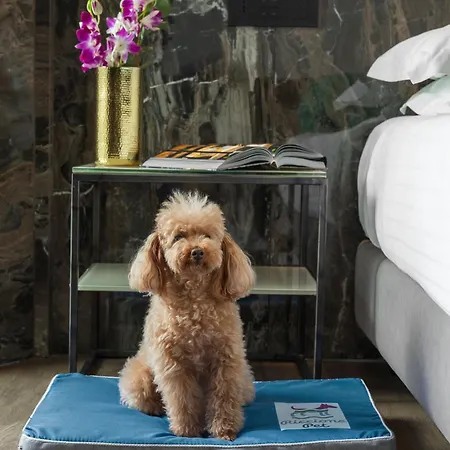 Michelangelo Hotel Riccione