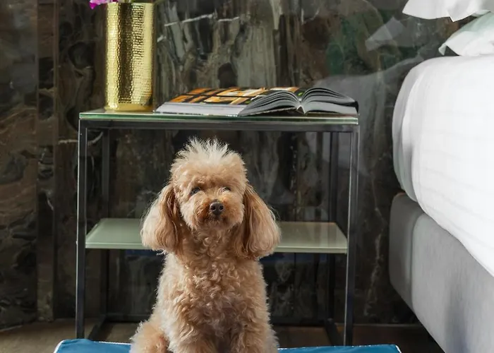 Michelangelo Hotel Riccione